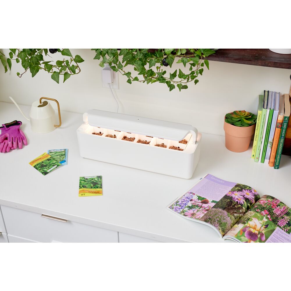 Countertop Garden Center - 3 Pots Coconut Milk - Image 6