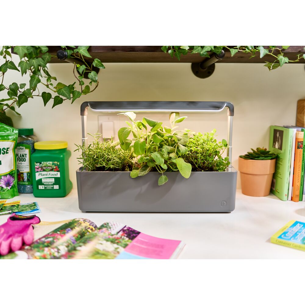 Countertop Garden Center - 3 Pots Coconut Milk - Image 9
